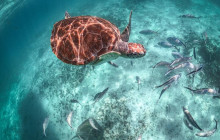 Agila Tours Riviera Maya17