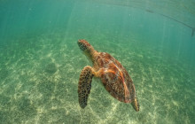 Agila Tours Riviera Maya19