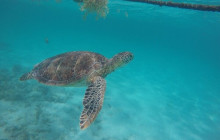 Agila Tours Riviera Maya20