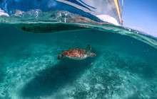 Agila Tours Riviera Maya3