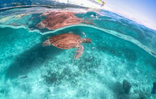 Agila Tours Riviera Maya1