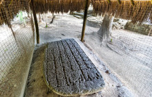 Agila Tours Riviera Maya16