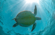 Agila Tours Riviera Maya20