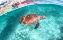Agila Tours Riviera Maya15