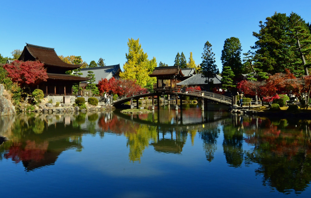 Kyoto's Arashiyama Bamboo Grove Guided Tour