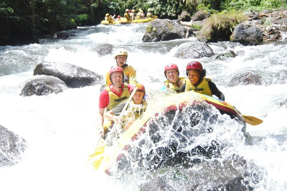 Bali Rafting Adventure and Ubud Monkey Forest Visit