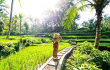 TripGuru - ROW2