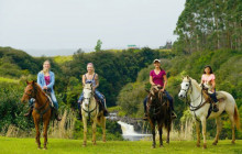 Wailea Sunrise Horseback Ride Waterfall Swim/Break