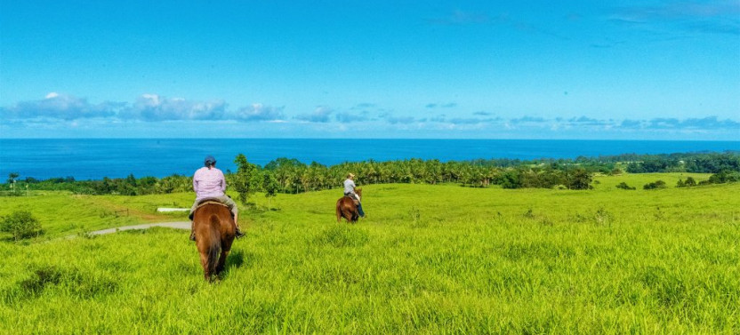 Wailea Afternoon Horseback Ride Waterfall Swim/Break