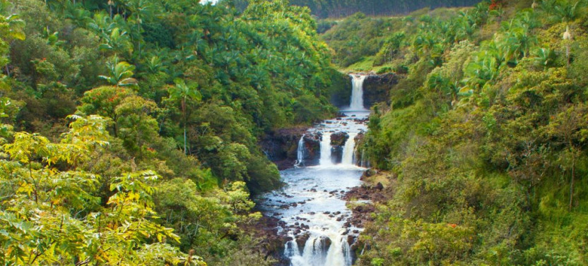 Wailea Afternoon Horseback Ride Waterfall Swim/Break