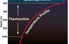 Kona Salt Farm by Sea Salts of Hawaii17