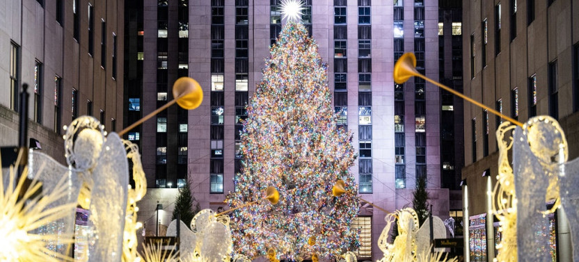 NYC Holiday Lights and Dyker Heights Luxury Bus Tour