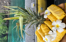 Hawaii Marine Life Charters6