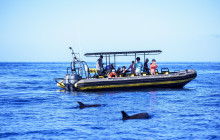 Hawaii Marine Life Charters2
