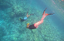 Hawaii Marine Life Charters5