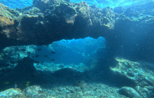 Hawaii Marine Life Charters6