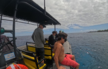 Hawaii Marine Life Charters7