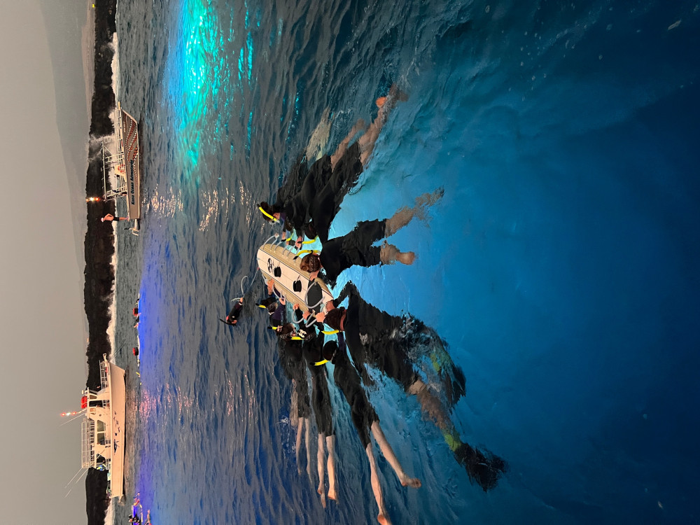 Sunset Manta Ray Snorkel