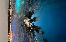 Hawaii Marine Life Charters1