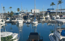 Hawaii Marine Life Charters5