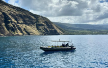Hawaii Marine Life Charters1