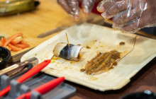 Chukka Caribbean Adventures - Barbados14