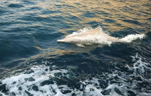 BoatTripsClub18