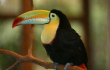 Faro Travel Costa Rica2