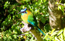 Faro Travel Costa Rica6