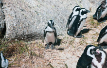 TOS travel and tours4