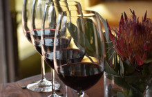 TOS travel and tours6