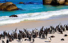 TOS travel and tours4