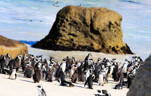 TOS travel and tours5