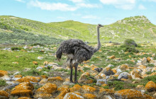 TOS travel and tours3