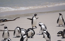 TOS travel and tours6