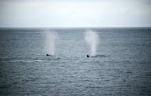 TOS travel and tours5