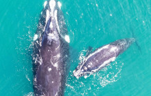 TOS travel and tours6