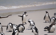 TOS travel and tours2