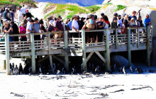 TOS travel and tours7