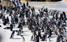 TOS travel and tours1