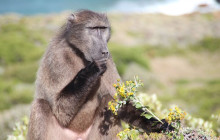 TOS travel and tours3