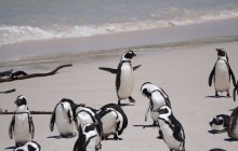 TOS travel and tours4