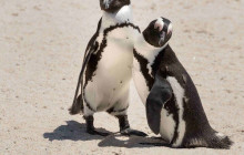 TOS travel and tours7