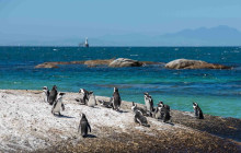 TOS travel and tours8