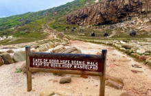 TOS travel and tours9