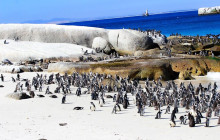 TOS travel and tours3