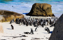 TOS travel and tours4