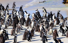 TOS travel and tours4