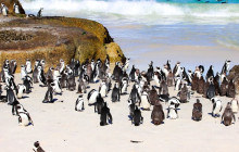 TOS travel and tours1