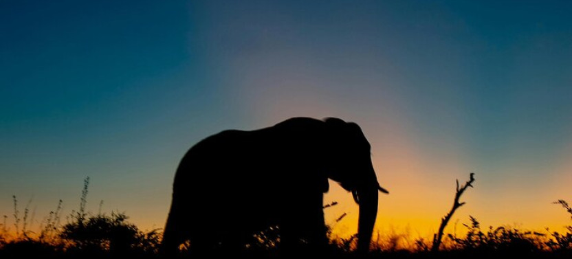 Private: big 5 Safari Game Reserve Sunset Safari